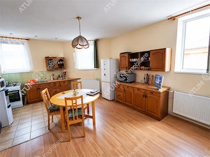 Casa si hale industriale - 475 mp utili in Cisnadie langa Sibiu - imagine 5