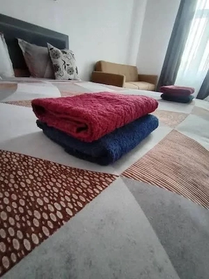 Apartament   Studio Ultracentral   25 m de Piața Mare REGIM HOTELIER  - imagine 2