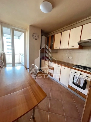Apartament cu 2 camere de inchiriat in zona Aradului Timisoara - imagine 3
