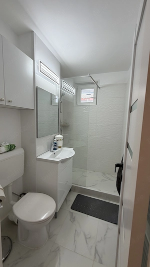 Apartament 1 camera Precista-Centru de inchiriat - imagine 10