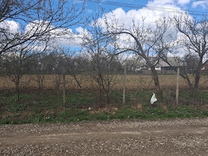 Vand teren intravilan 2800 m2 - Sat Botesti - comuna Horodniceni - jud Suceava. - imagine 3