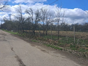 Vand teren intravilan 2800 m2 - Sat Botesti - comuna Horodniceni - jud Suceava. - imagine 2