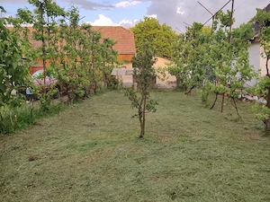 Casa de vanzare - Suseni, jud. Mures - imagine 9