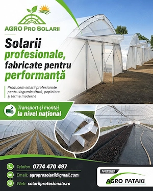 Solarii profesionale 