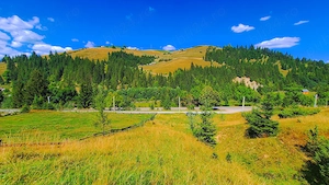 Teren intravilan 2000 mp   32 m la drum   Acces DN17A, BUCOVINA! - imagine 2