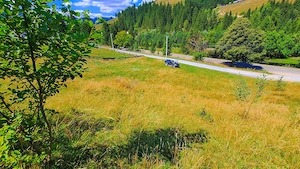Teren intravilan 2000 mp   32 m la drum   Acces DN17A, BUCOVINA! - imagine 3