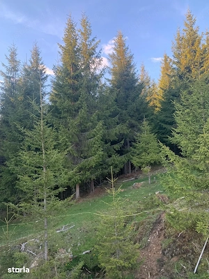 Teren recreațional de vânzare, 1000mp