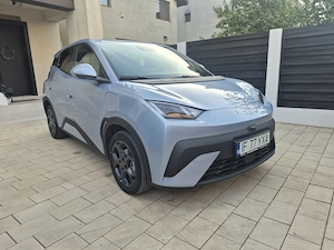 Byd dalphin surf  - imagine 3