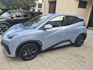 Byd dalphin surf  - imagine 7