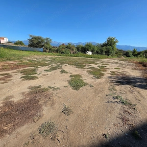  Teren intravilan de vânzare în Avrig, jud. Sibiu   3.982 mp - imagine 3