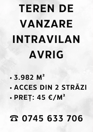  Teren intravilan de vânzare în Avrig, jud. Sibiu   3.982 mp - imagine 5