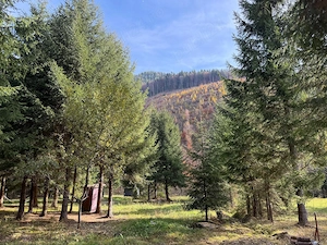 Vând casă la munte - Lunca Vișagului, Valea Draganului - imagine 6