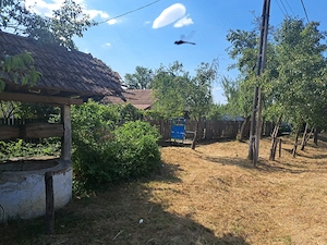 Vand casa si teren localiatea Stangaceaua, judetul Mehedint - imagine 3