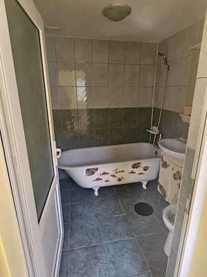 Casa de familie in Braila, str. Alba-Iulia (zona Kaufland Dorobanti), 300 mp - imagine 8