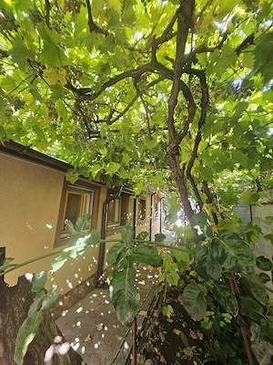 Casa de familie in Braila, str. Alba-Iulia (zona Kaufland Dorobanti), 300 mp - imagine 18