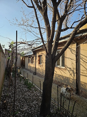 Casa de familie in Braila, str. Alba-Iulia (zona Kaufland Dorobanti), 300 mp - imagine 5