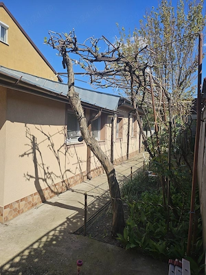 Casa de familie in Braila, str. Alba-Iulia (zona Kaufland Dorobanti), 300 mp - imagine 7