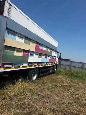 Vand Pavilion si Camion Apicol - imagine 3