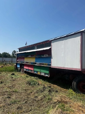 Vand Pavilion si Camion Apicol - imagine 2
