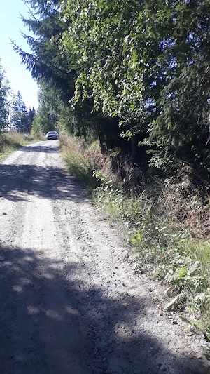 P.F., teren 22.500 mp la munte, Neagra Sarului, panorama, acte in regula. - imagine 3