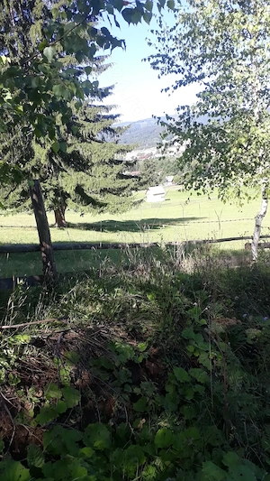 P.F., teren 22.500 mp la munte, Neagra Sarului, panorama, acte in regula. - imagine 4