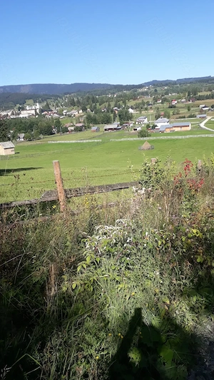 P.F., teren 22.500 mp la munte, Neagra Sarului, panorama, acte in regula. - imagine 2
