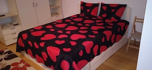 Garsoniera de închiriat  - imagine 3