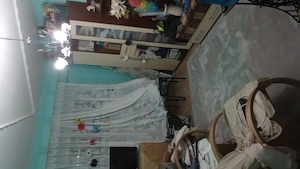 Vând sau schimb cu casa - imagine 3