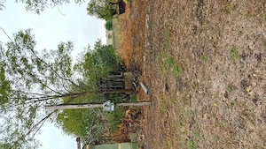 Vand teren intravilan 2744mp cu casa si anexa in ruina in ruina - imagine 2