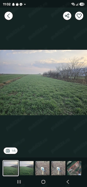 Teren intravilan  5.000 MP - imagine 3