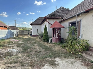Casă cu 5 camere și 3.200 mp de teren plan în Felcheriu - imagine 5