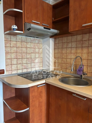 Garsoniera pet friendly,zona Buziasului - imagine 4