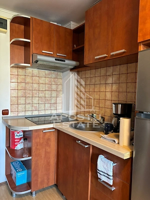 Garsoniera pet friendly,zona Buziasului - imagine 7