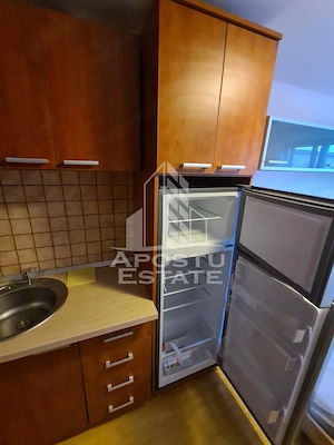 Garsoniera pet friendly,zona Buziasului - imagine 6