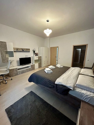 Apartament in zona Maria -Sinaia. - imagine 3
