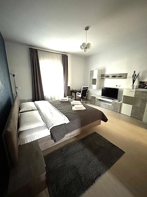 Apartament in zona Maria -Sinaia. - imagine 9