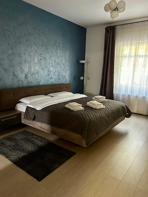 Apartament in zona Maria -Sinaia. - imagine 8
