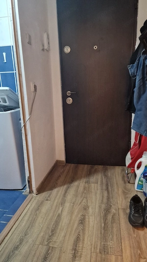 Apartament 3 camere, parter,Sagului Piata Doina - imagine 4