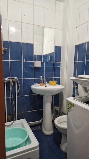 Apartament 3 camere, parter,Sagului Piata Doina - imagine 5