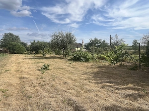 Vând teren intravilan   1.367 mp   Ianca, comuna Diosig, Bihor - imagine 2