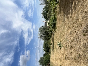 Vând teren intravilan   1.367 mp   Ianca, comuna Diosig, Bihor