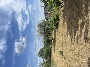 Vând teren intravilan   1.367 mp   Ianca, comuna Diosig, Bihor - imagine 3