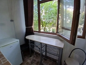 Apartament cu 1 camera in Tatarasi-Flora,la bulevard - imagine 6