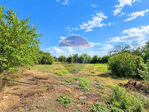 | Casă 3 camere | teren 2800 mp |  Judetul Dambovita | - imagine 9