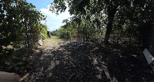 Casă de caramida finisata 75mp, teren 900mp | jud Dambovita - imagine 16