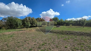 Teren 4,345mp Targu Mures / Strada Mestecanisului - imagine 5