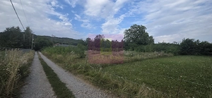 650 mp de liniste, natura si aer curat in Brebu, Prahova - imagine 3