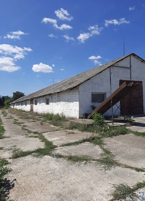 Hală pe structura metalica  - imagine 2