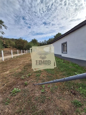 Casa cu 3 camere si anexe cu teren 1850 mp Vestem - imagine 4