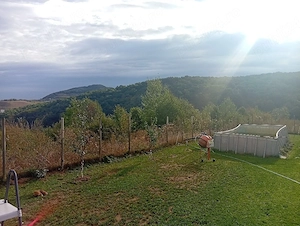 Vând teren intravilan in floresti Cluj 
